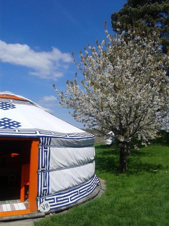Yourte Nomade-Lodge Les Ecrennes Quarto foto